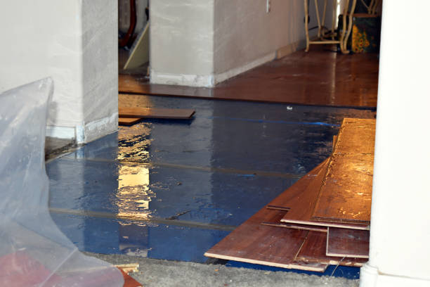 Professional Burst Pipe Cleanup technician working in Greenville, NC