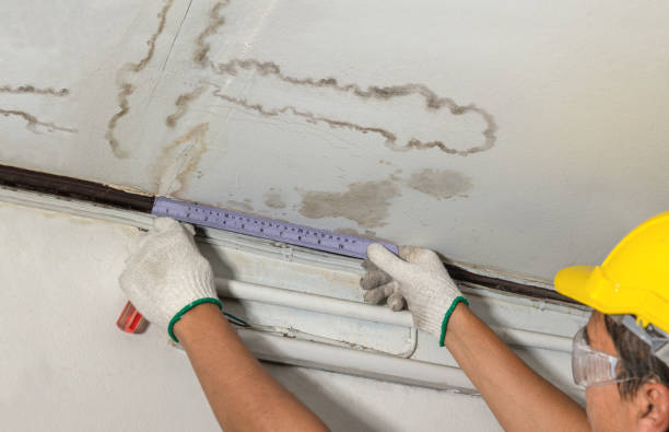 Reliable Burst Pipe Cleanup contractor in Greenville, NC by Water Damage Irwin